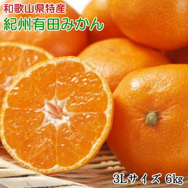【2026年先行予約】【秀品】 和歌山 有田みかん 6kg（3Lサイズ・秀品）_ZD6395