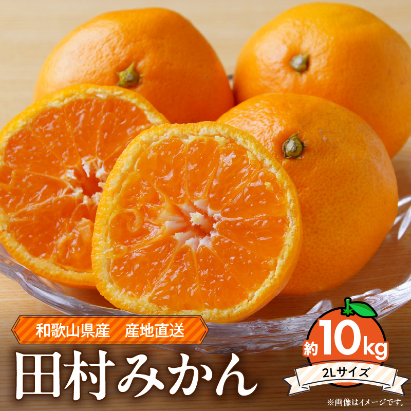 【2026年先行予約】和歌山 湯浅町産 田村みかん 約10kg【2L】_ZE6487