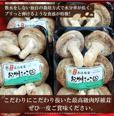 最高級 肉厚椎茸 清流椎茸 1kg (200g×5パック)_DM6003