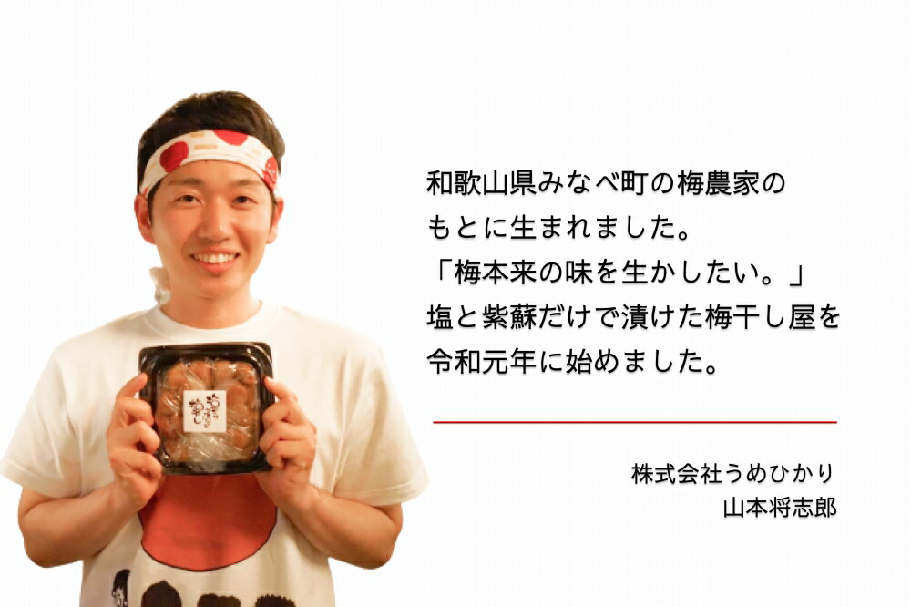 【常温保管可能】天日塩と紫蘇だけで漬けた 無添加梅干し3kg 梅ボーイズ|南高梅 C203_EP6021
