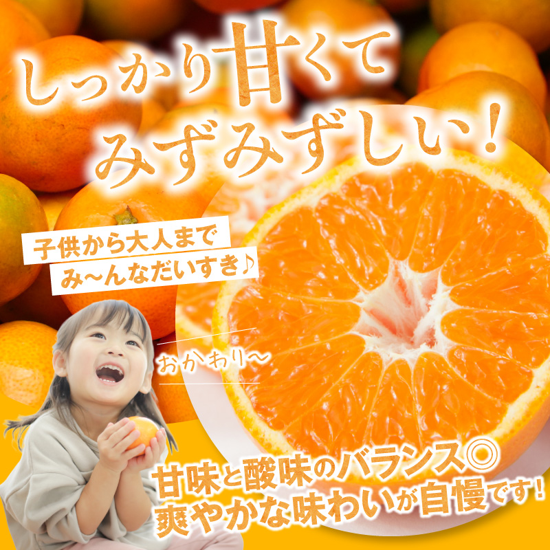 【2026年先行予約】有田みかん　L,2Lサイズ混合　約10kg_BF6069