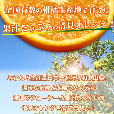 【2027年先行予約】紀州有田産 清見 オレンジ 5kg【家庭用 訳あり】タンゴール みかん 柑橘 フルーツ 果物 デザート 果実 お取り寄せ 和歌山県 湯浅町 有田 送料無料_G7329