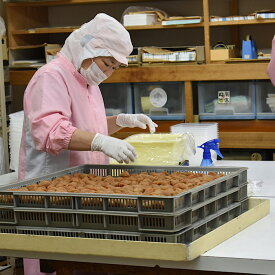 【定期便】紀州南高梅 2種の風味 テトラピロー 個包装 12個入 ×12_BL6155
