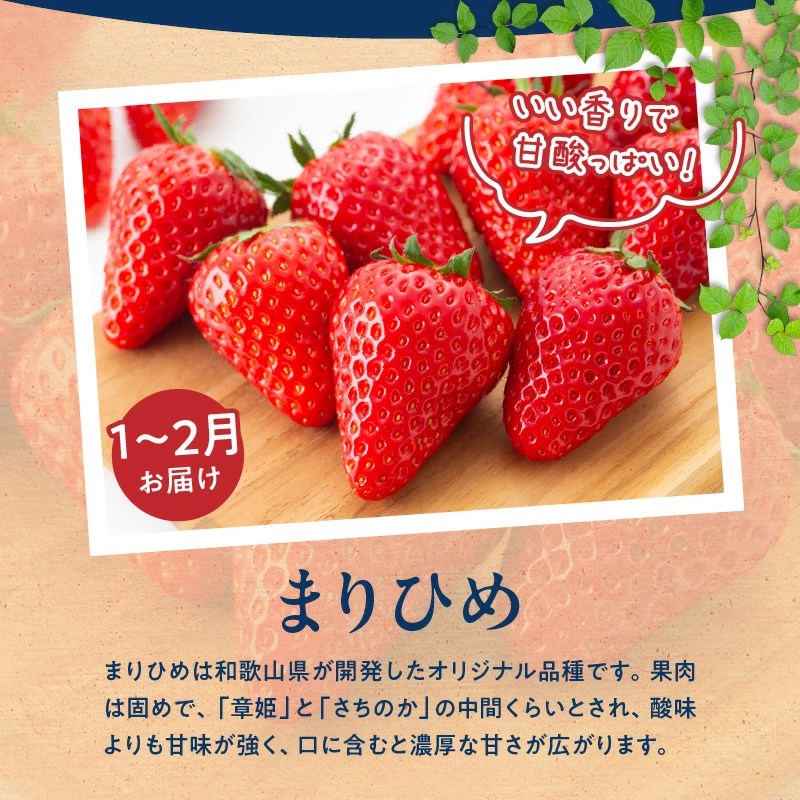 【定期便 全3回】紀州和歌山産旬のフルーツ定期便（田村みかん、いちご、紀州デコ）_G60-T78