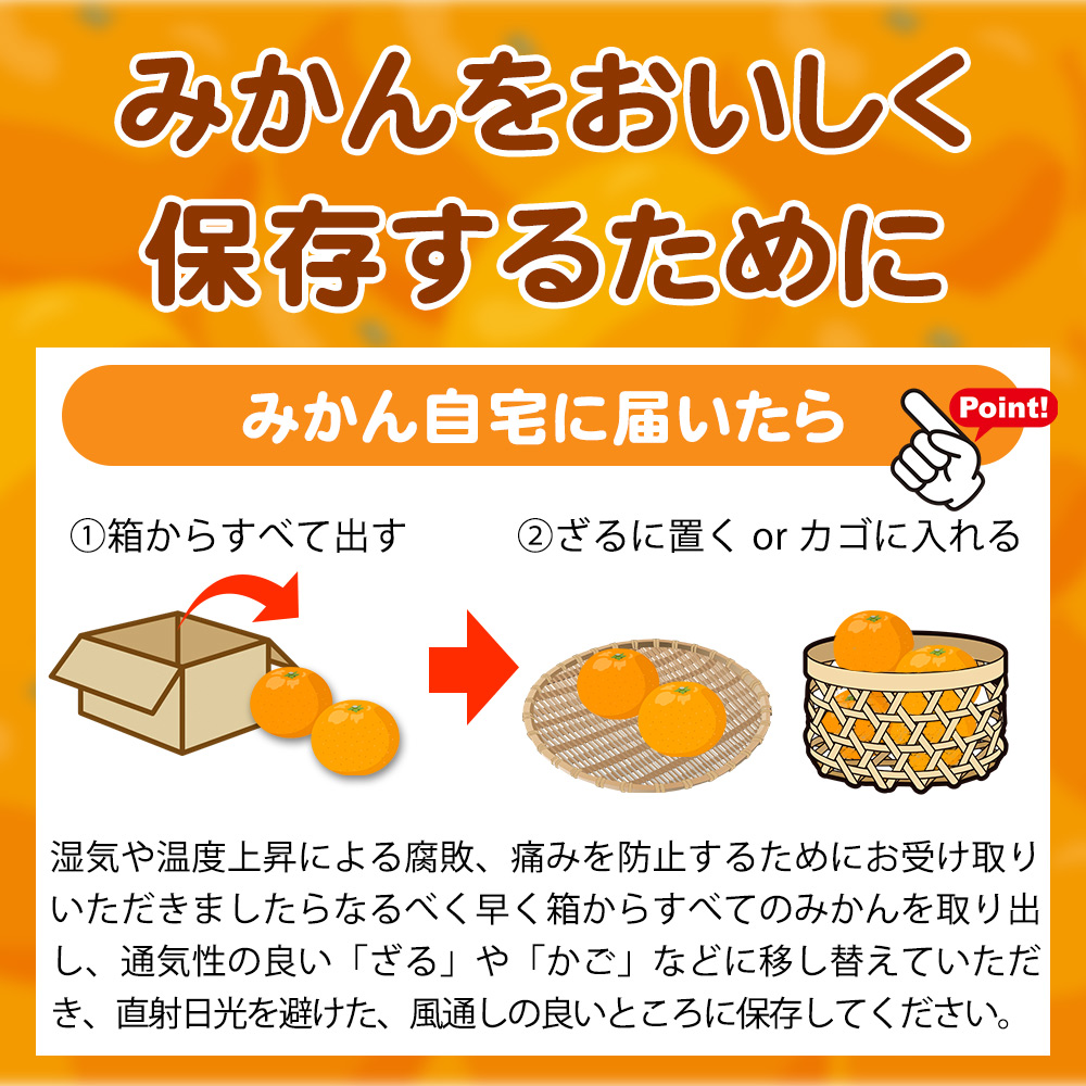 【2026年先行予約】和歌山県限定の極早生みかん 10kg (YN-26 大小混合)_EA6041