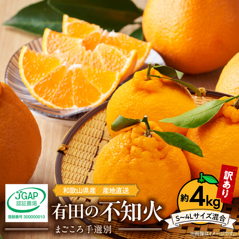 【2027年先行予約】有田の不知火(しらぬひ) 【訳あり　家庭用】約4kg（S～4Lサイズ混合）まごころ手選別_ZE6161n