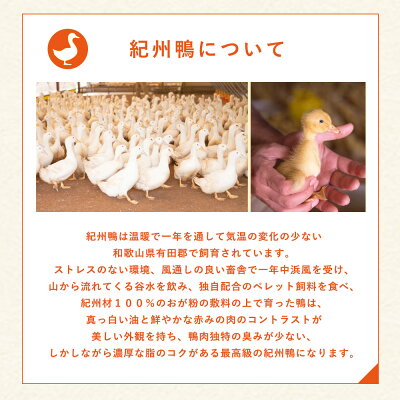 紀州鴨 セット ( ロースブロック1kg  モモブロック600g )※到着希望日（時期）指定不可_AK6008