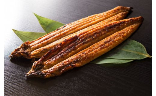 炭焼きうなぎ蒲焼　大サイズ2尾セット（約150～199g×2尾）タレ・粉山椒付き　国産鰻　冷凍ウナギ　1尾ずつ真空パック　土用の丑の日　紀伊国屋文左衛門本舗_V6206