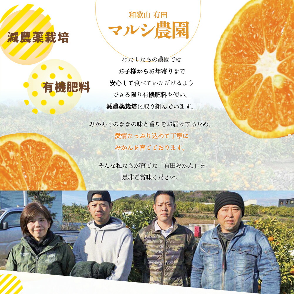 【2026年先行予約】有田みかん 5kg 2S～Lサイズ混合_BF6061