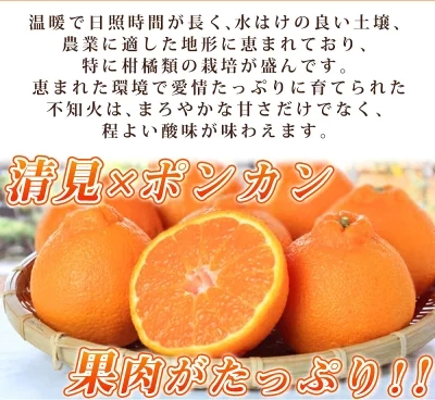 【2027年先行予約】紀州有田産 不知火 (しらぬい)【家庭用 訳あり】3kg デコポン フルーツ デザート 柑橘 果物 果実 みかん お取り寄せ 和歌山県 湯浅町 送料無料_G7357