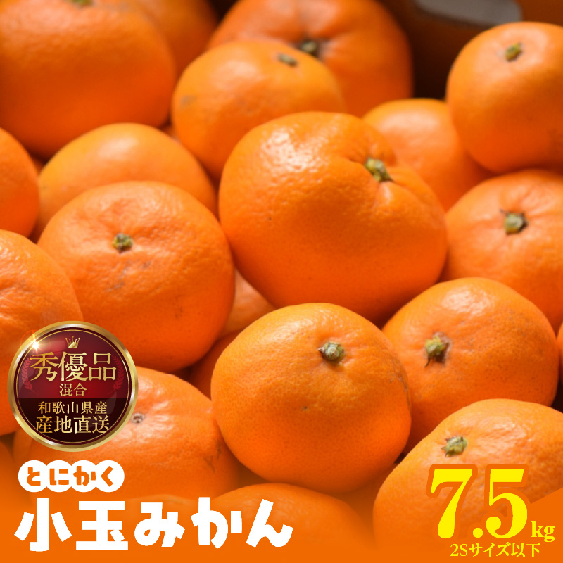 みかん とにかく 小玉 箱込 7.5kg ( 内容量 6.8kg ) 2Sサイズ以下 秀品 優品 混合 有田みかん 和歌山県産 産地直送 【みかんの会】_MK1052