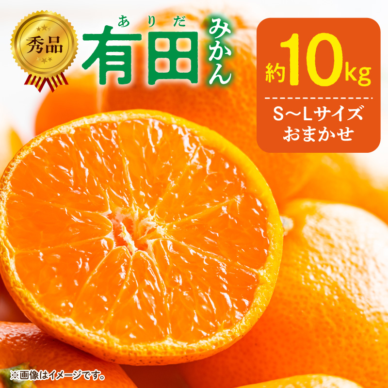 【2027年1月発送】秀品 有田みかん 和歌山県産 S～Lサイズ 大きさお任せ  約10kg_DZ6200_01