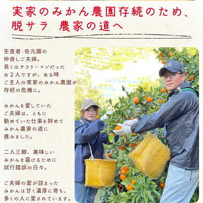 和歌山県産 有田みかん【訳あり 家庭用】約10kg 小玉 3S～Sサイズ_DI6017n