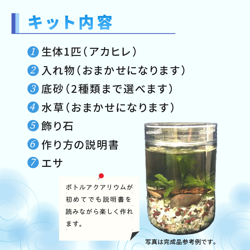 おうちで小さな水族館♪ ボトルアクア キット_BA6002n