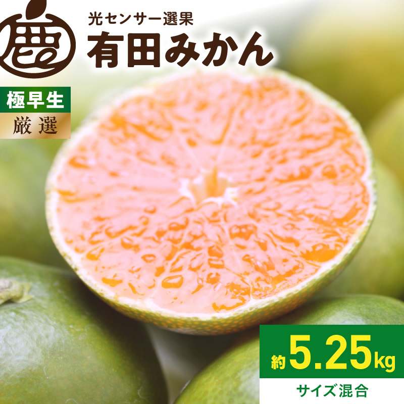 厳選 極早生有田みかん約5kg+250g（傷み補償分）ゆら早生みかん【YN26・ゆら早生】【光センサー選果】_ZH7040