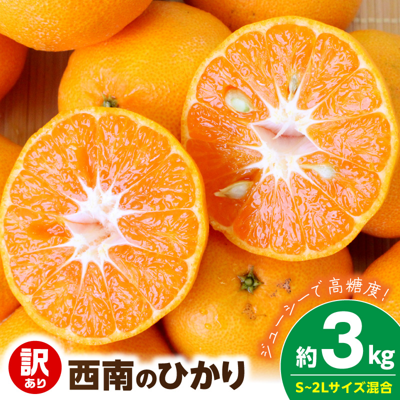 【2026年先行予約】《訳あり 家庭用》西南のひかり 約3kg（S～2Lサイズ混合）_EQ6007