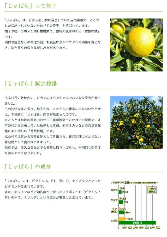 じゃばら果汁 360ml×5本 100％ストレート果汁 邪払 ジャバラ じゃばら 果汁 北山村 / 紀伊国屋文左衛門本舗_V6227