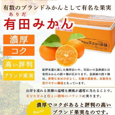 【2026年先行予約】有田みかん約7.5kg(+傷み補填分500g)=合計8kg【サイズおまかせ】 / 産地直送 / 紀伊国屋文左衛門本舗（お届け日指定不可）_V7441