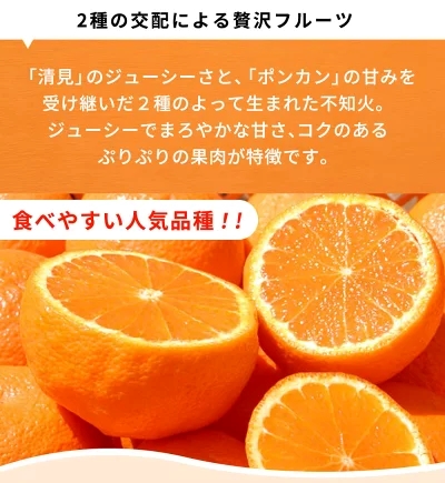 【2027年先行予約】紀州有田産 不知火 (しらぬい)【家庭用 訳あり】3kg デコポン フルーツ デザート 柑橘 果物 果実 みかん お取り寄せ 和歌山県 湯浅町 送料無料_G7357