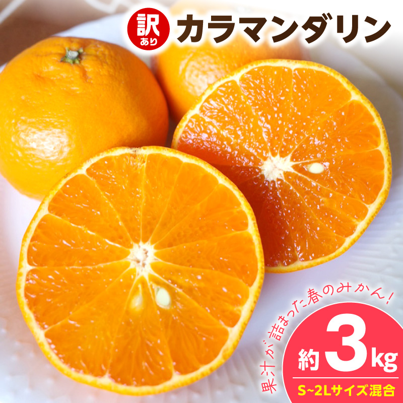 【2027年先行予約】《訳あり 家庭用》カラマンダリン 約3kg（S～2Lサイズ混合）_EQ6005