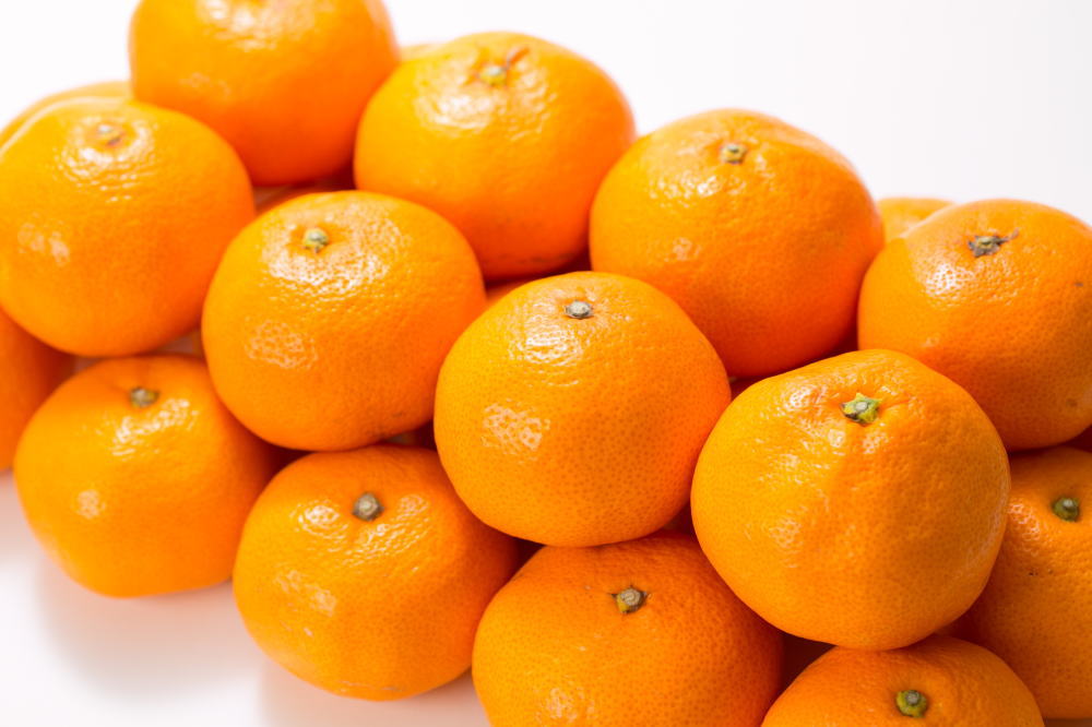 【2026年先行予約】ブランド有田みかん 秀品 約2.8kg【サイズおまかせ】/ 産地直送 / 薄皮で甘い美味しい和歌山県産 / 紀伊国屋文左衛門本舗_V7439