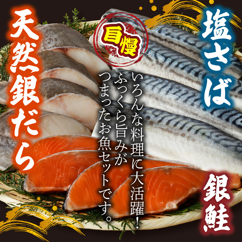 銀だら 銀鮭 切身 各 4切 塩さば フィレ 4枚 真空パック 小分け 良質な脂 ふっくら 柔らかい 梅酒 北海道南産 真こんぶ だし漬け お弁当 おかず お茶漬け ムニエル フライ 焼き物 煮魚 冷凍 お取り寄せ 和歌山県 湯浅町 送料無料_G7338