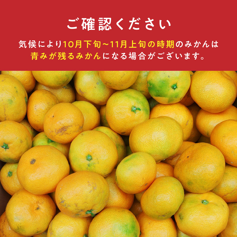 【2026年先行予約】庄助みかん (家庭用・サイズ混合) 約10kg_BK6022