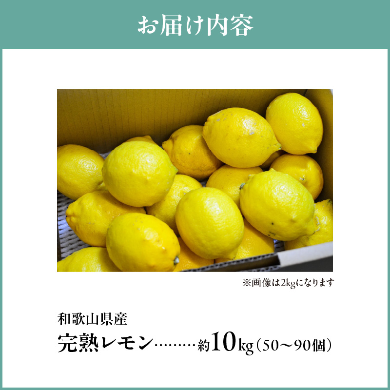 【2027年先行予約】和歌山県産 完熟 レモン 10kg 皮まで使用可能（栽培期間中農薬不使用）_EA6013