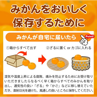 【2026年先行予約】（大玉）和歌山県産 有田みかん 5kg ひとつひとつ手選別で厳選！生産者から直送_ZN6011n