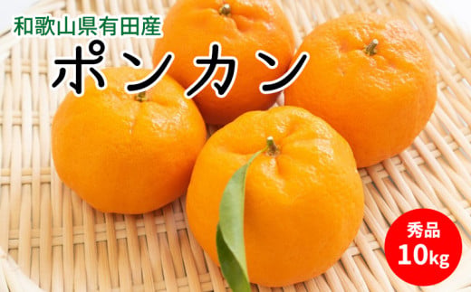 【2027年先行予約】ポンカン 秀品 約10kg 和歌山県有田産_U6227n