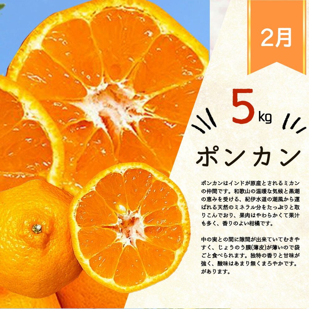 【定期便 全3回】紀州和歌山産旬の柑橘セット（みかん・ポンカン・清見）_G60-T32