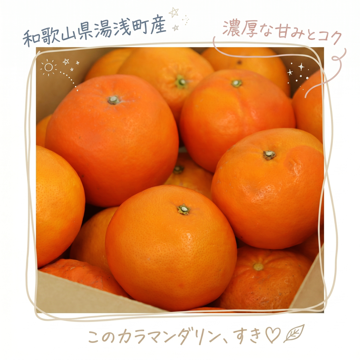 【2027年先行予約】《訳あり 家庭用》カラマンダリン 約3kg（S～2Lサイズ混合）_EQ6005