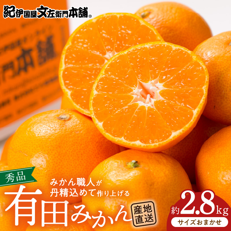 【2026年先行予約】ブランド有田みかん 秀品 約2.8kg【サイズおまかせ】/ 産地直送 / 薄皮で甘い美味しい和歌山県産 / 紀伊国屋文左衛門本舗_V7439
