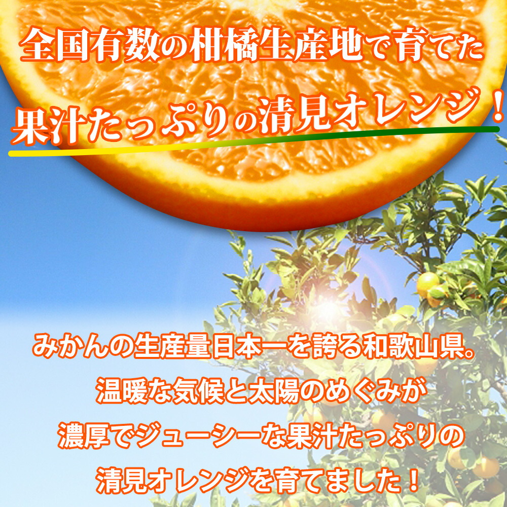 【まごころ搾りたて】清見 100%ジュース 1000ml 6本_ZE6405n