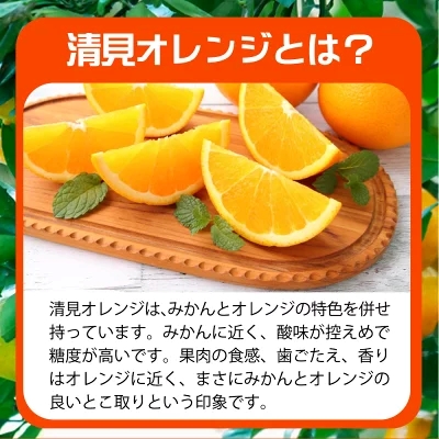 【2027年先行予約】とにかくジューシー 清見 オレンジ 2.5kg フルーツ 果物 柑橘 果実 甘い 果汁 ジューシー コク 柑橘の親 国産 食品 食べ物 魚鶴商店 平成の三大柑橘 お取り寄せ 和歌山県 湯浅町 送料無料_G7328