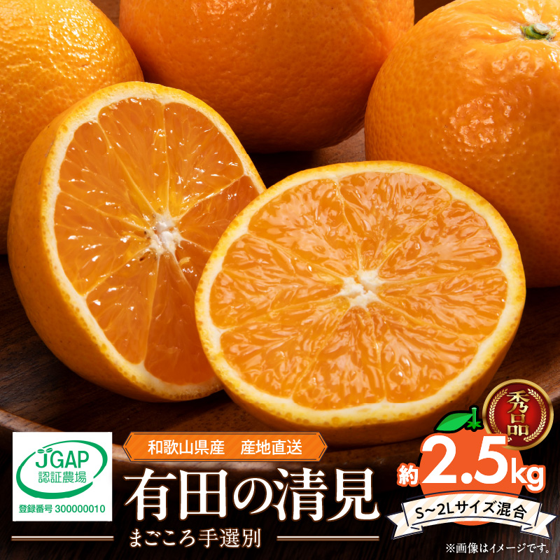 【2027年先行予約】和歌山県産 有田の 清見 2.5kg (S～2Lサイズ混合)【まごころ手選別】_ZE6367n
