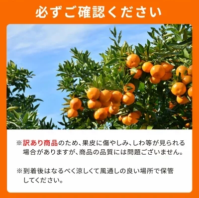 【2027年先行予約】紀州有田産 不知火 (しらぬい)【家庭用 訳あり】6kg デコポン フルーツ デザート 柑橘 果物 果実 みかん お取り寄せ 和歌山県 湯浅町 送料無料_G7358