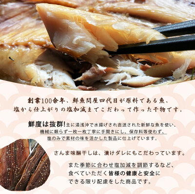 鮮魚問屋の アジとこだわり漬けダレのさんま味醂干しセット 各8枚【魚 干物セット 詰め合わせ みりん干し】_AD6004n