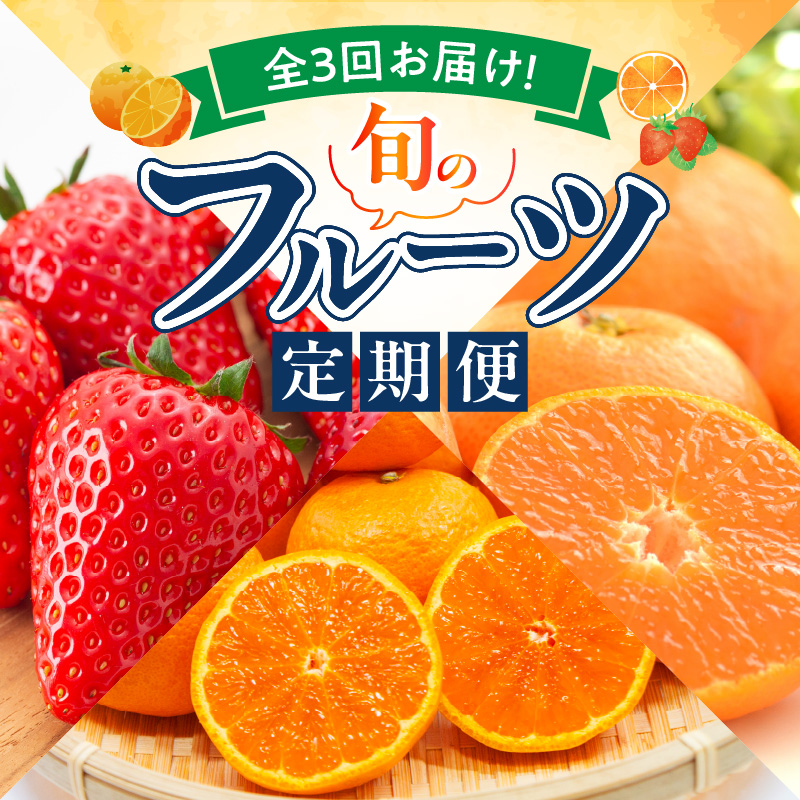 【定期便 全3回】紀州和歌山産旬のフルーツ定期便（田村みかん、いちご、なつみ）_G60-T76