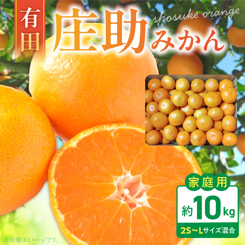 【2026年先行予約】庄助みかん (家庭用・サイズ混合) 約10kg_BK6022