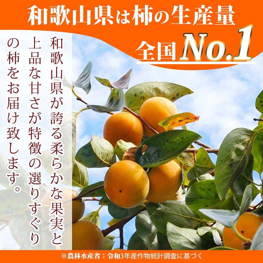 和歌山秋の味覚 平核無柿（ひらたねなしがき） 3.5kg【家庭用 訳あり】_G7113