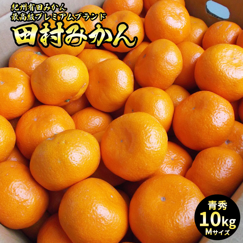 【2026年先行予約】「高級 田村みかん」 青秀 約10kg Mサイズ 和歌山県有田産 有田みかん_U6245