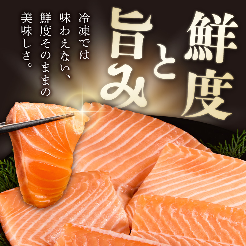いっちゃんええ【ノンフローズン】生サーモン 全て手作業 約400g_FJ1000