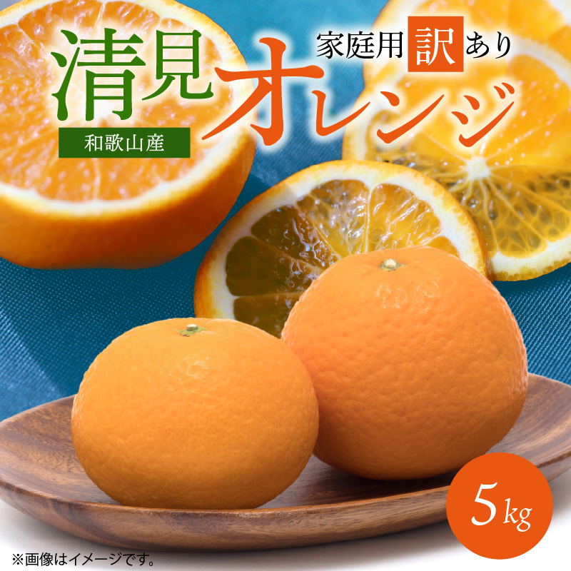 【2027年先行予約】紀州有田産 清見 オレンジ 5kg【家庭用 訳あり】タンゴール みかん 柑橘 フルーツ 果物 デザート 果実 お取り寄せ 和歌山県 湯浅町 有田 送料無料_G7329