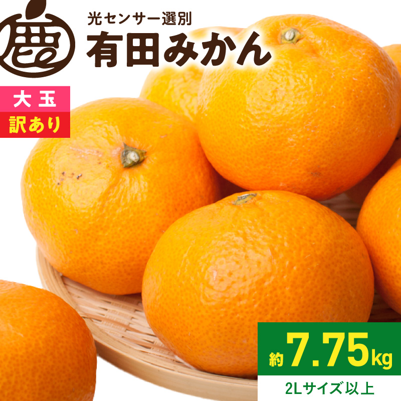 家庭用 大きな有田みかん約7.5kg+250g（傷み補償分）【わけあり・訳あり】【光センサー選果】_ZH7118