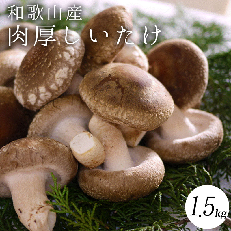 最高級 肉厚椎茸 清流椎茸 1kg (200g×5パック)_DM6003
