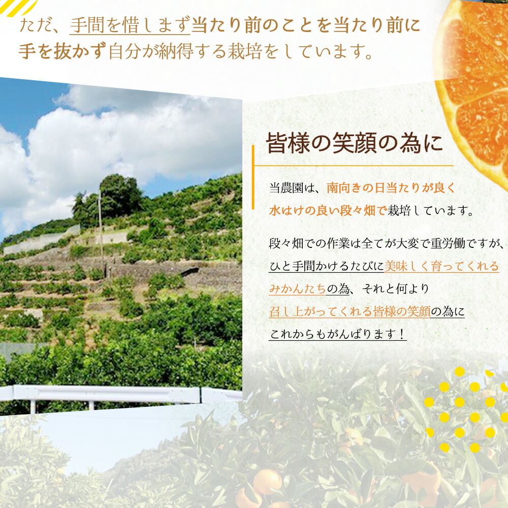 【2026年先行予約】有田みかん 5kg 2S～Lサイズ混合_BF6061