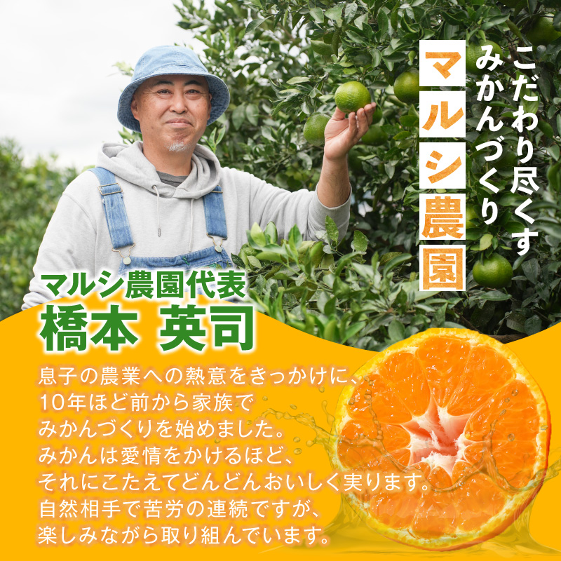 【2026年先行予約】有田みかん　L,2Lサイズ混合　約5kg_BF6070