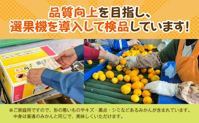 【2026年先行予約】ご家庭用　和歌山有田みかん約5kg(SS、Sサイズ)【湯浅町】_ZJ6097
