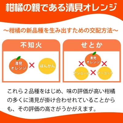【2027年先行予約】とにかくジューシー 清見 オレンジ 2.5kg フルーツ 果物 柑橘 果実 甘い 果汁 ジューシー コク 柑橘の親 国産 食品 食べ物 魚鶴商店 平成の三大柑橘 お取り寄せ 和歌山県 湯浅町 送料無料_G7328